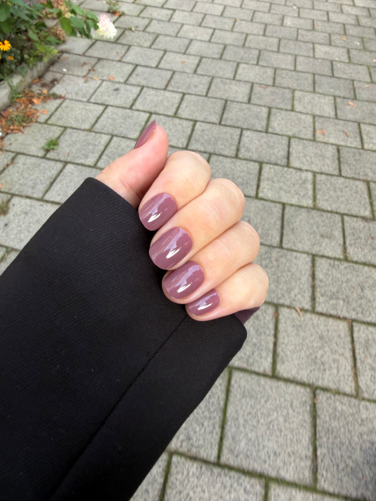 Berry Mauve - Kort (pre-order)