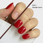 Starter Bundel