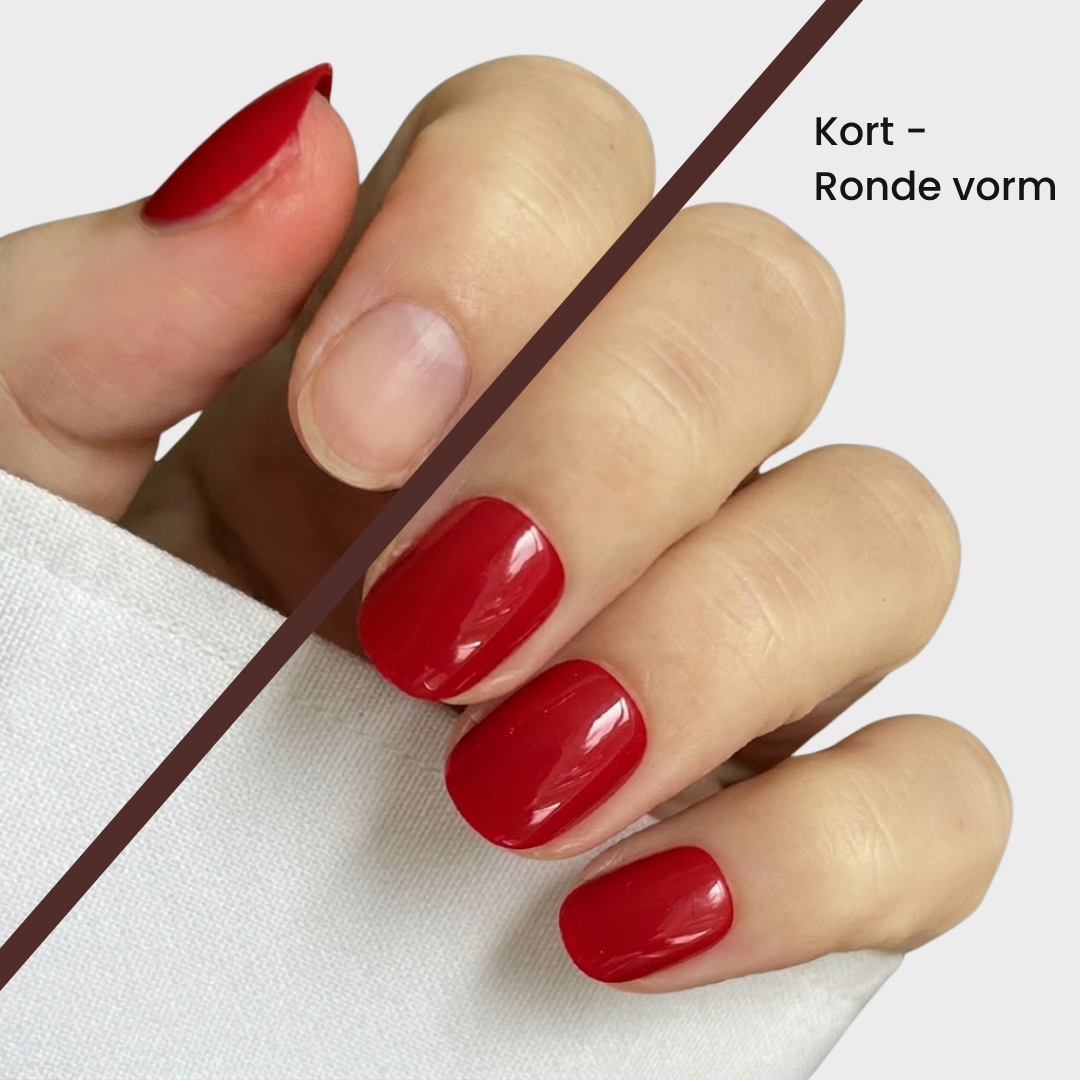 Starter Bundel