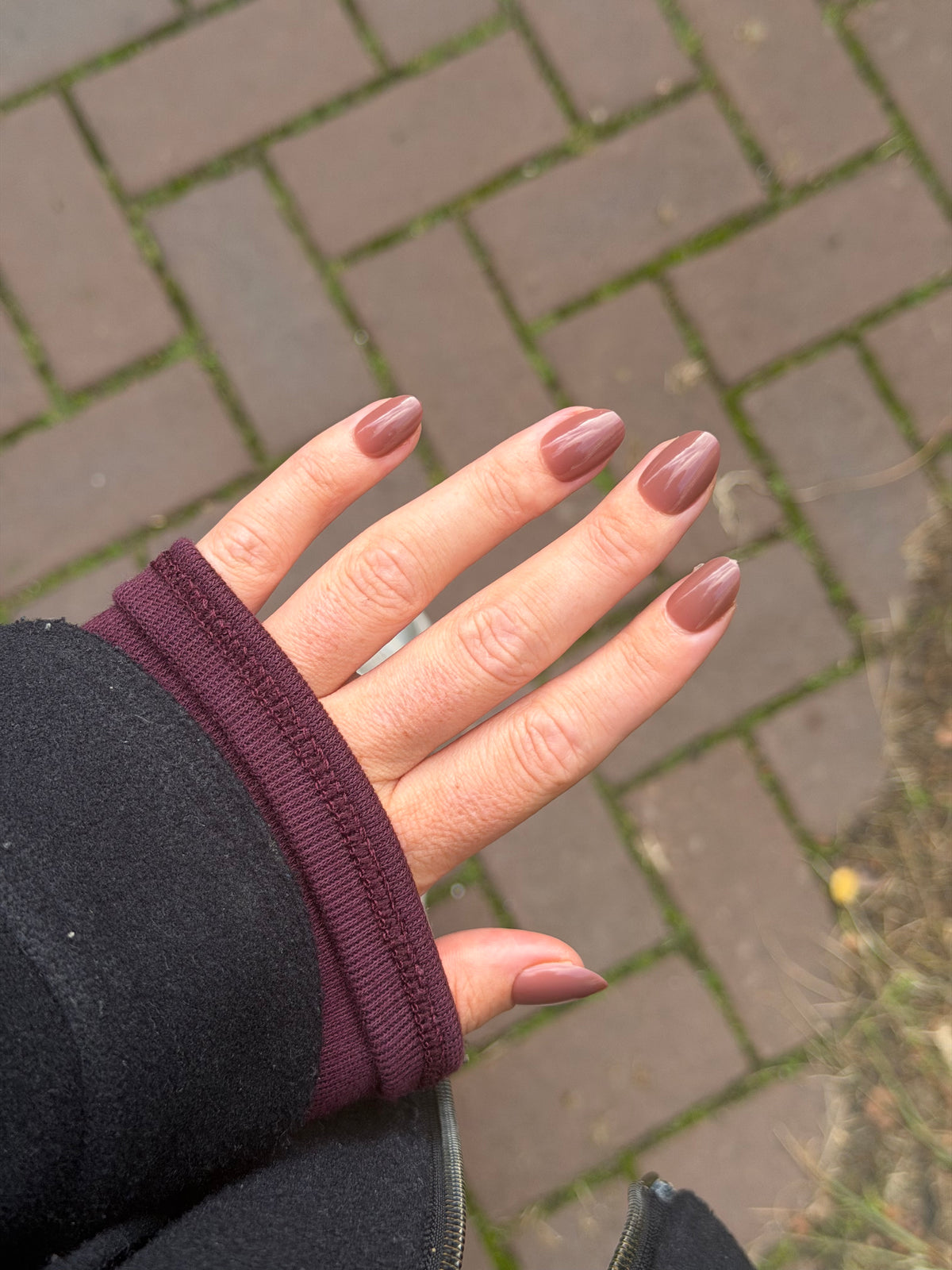 Mocha Mauve - Medium